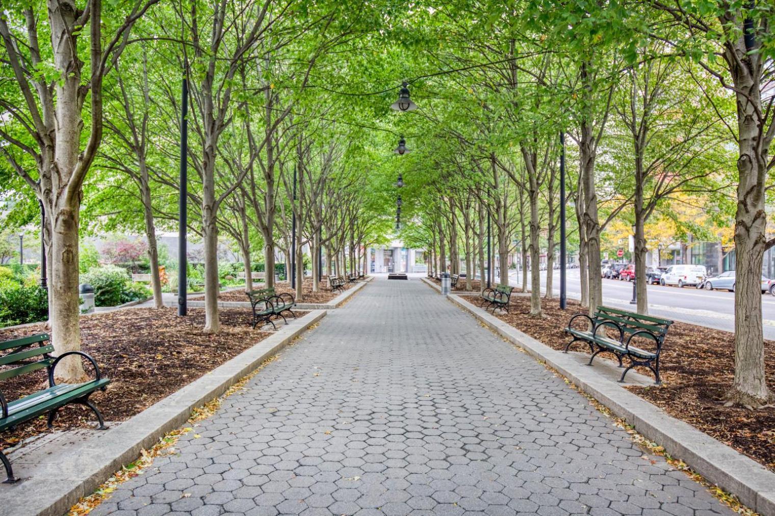 Blueground Financial District 2bd Nyc-1620 New York